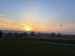 fliegen0903 17
